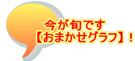 今が旬です 　　【おまかせグラフ】！